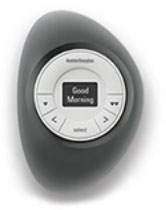 Pebble Control